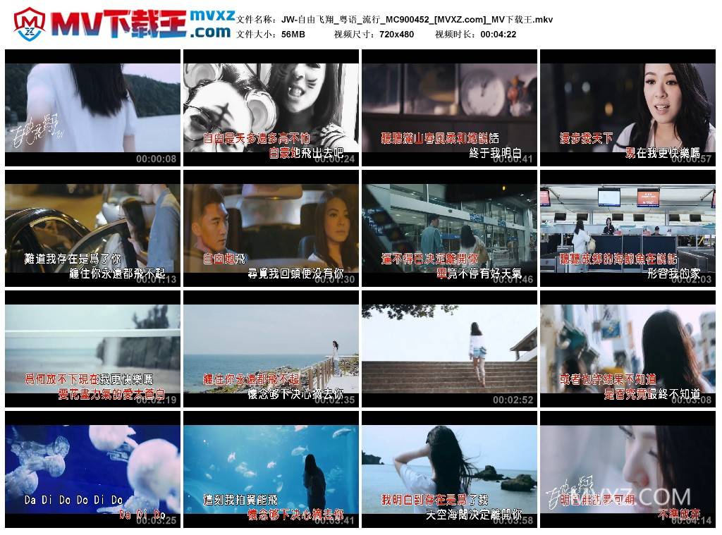 JW-自由飞翔_粤语_流行_MC900452